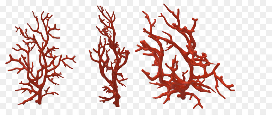 coral clipart red coral