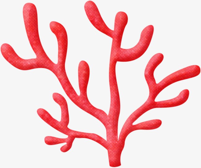 Coral clipart red coral. 