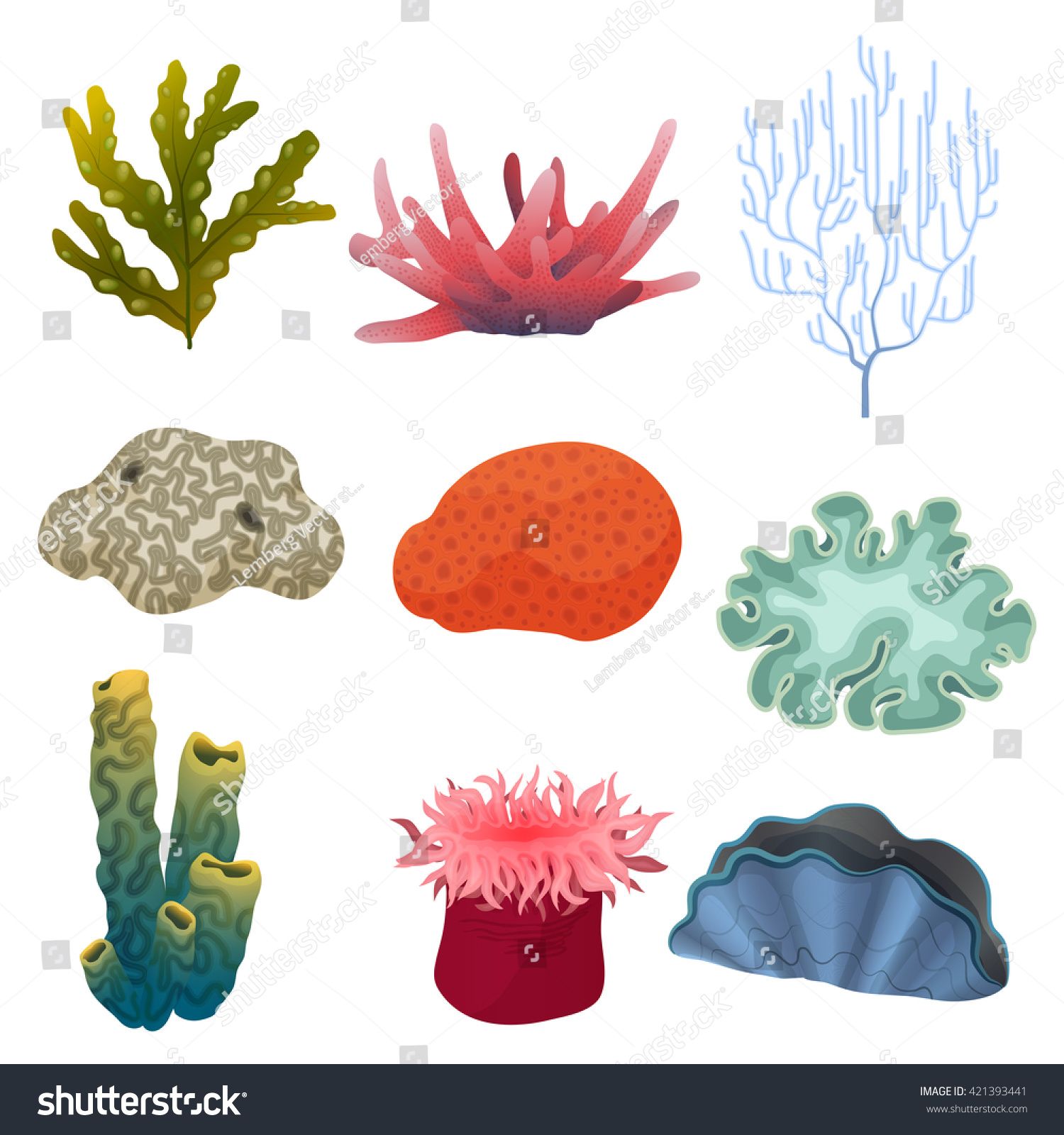 coral clipart sea bottom