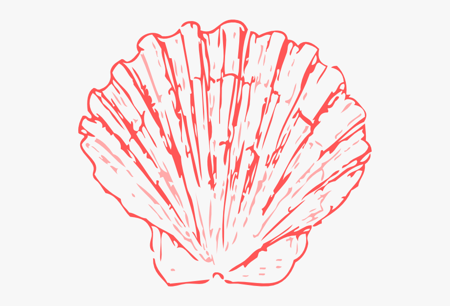 Shell clipart coral clipart. Seashell blue free cliparts