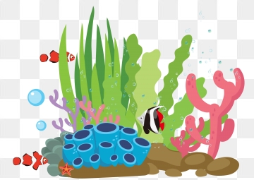 coral clipart seaweed
