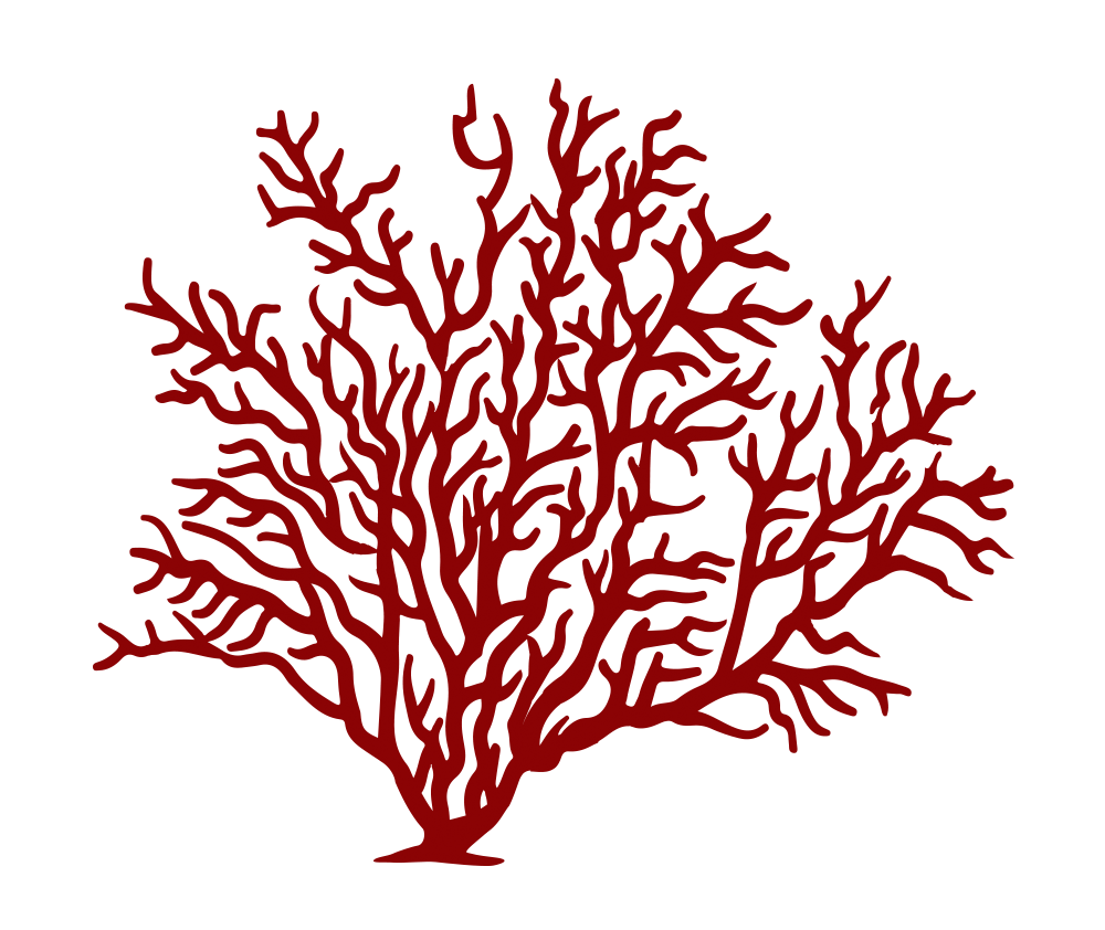 Coral clipart soft coral, Coral soft coral Transparent FREE for