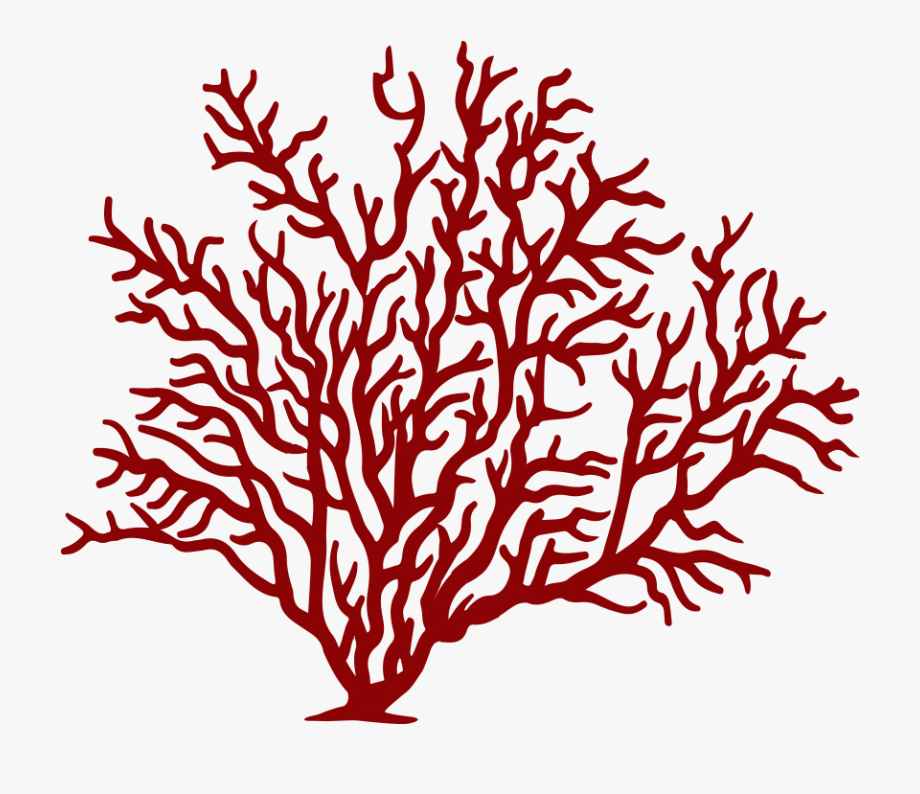 coral clipart soft coral
