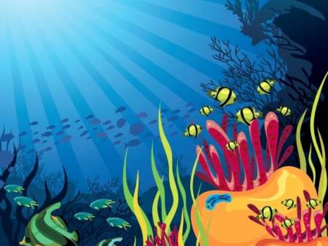 coral clipart submerged