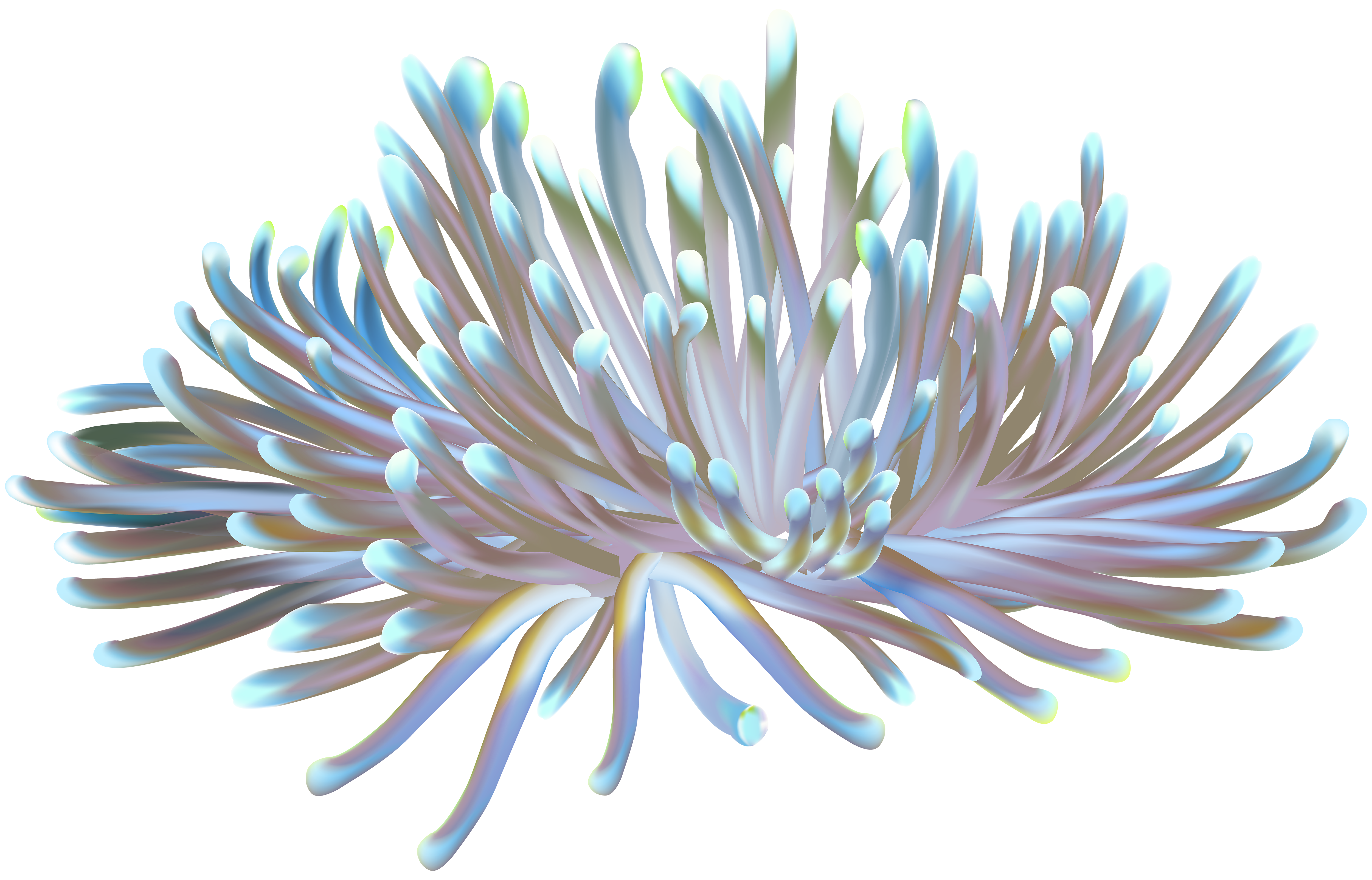 coral clipart underwater