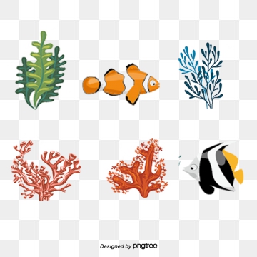 coral clipart vector