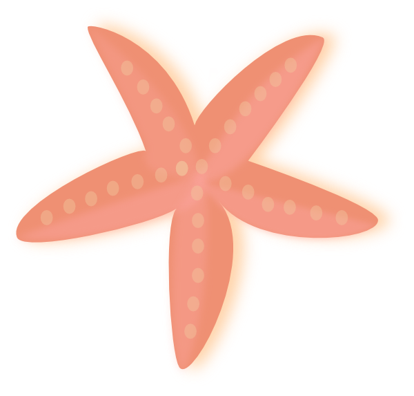peach clipart starfish