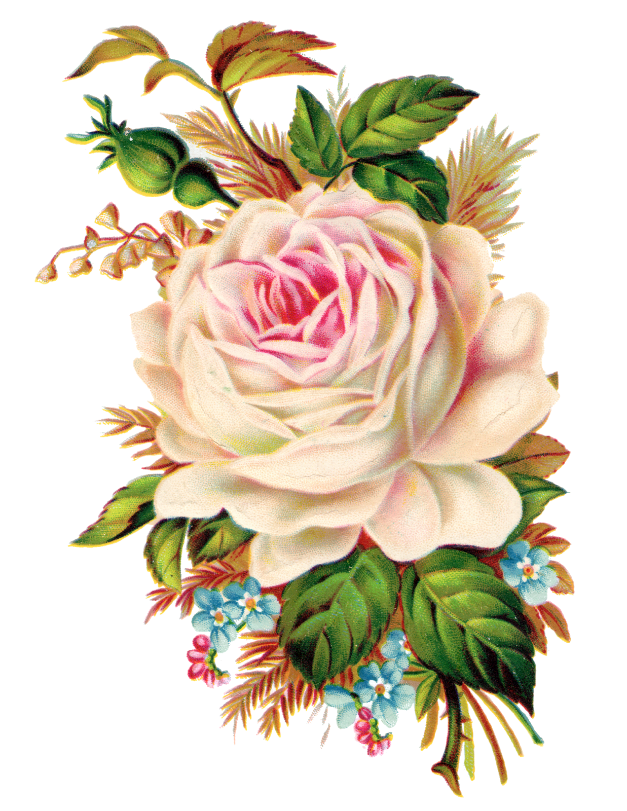 number 2 clipart floral print