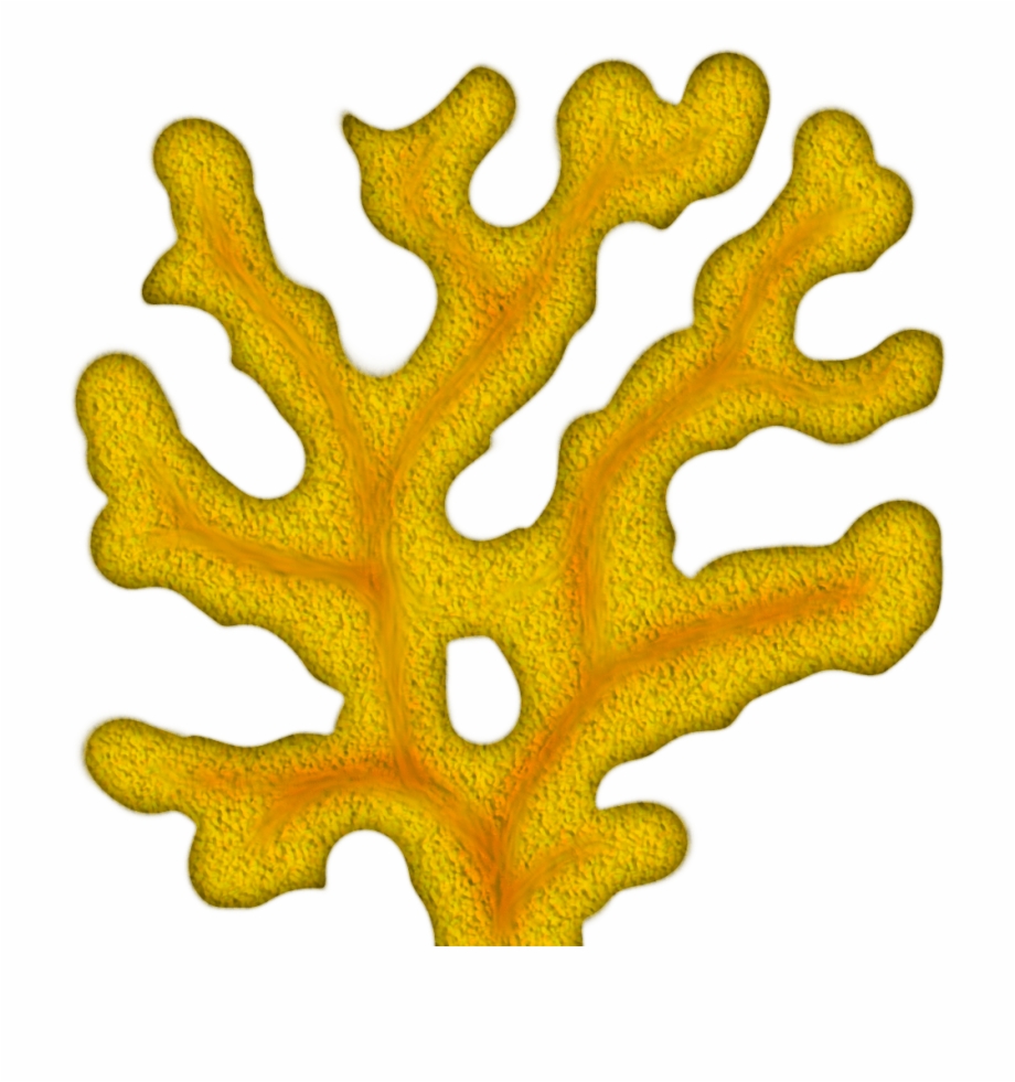 Coral clipart yellow coral. Png sea corals pngtube