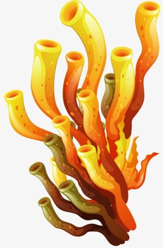 Marine plants aquatic png. Coral clipart yellow coral