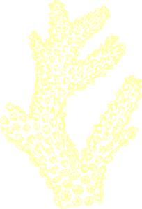 Coral clipart yellow coral. Clip art at clker