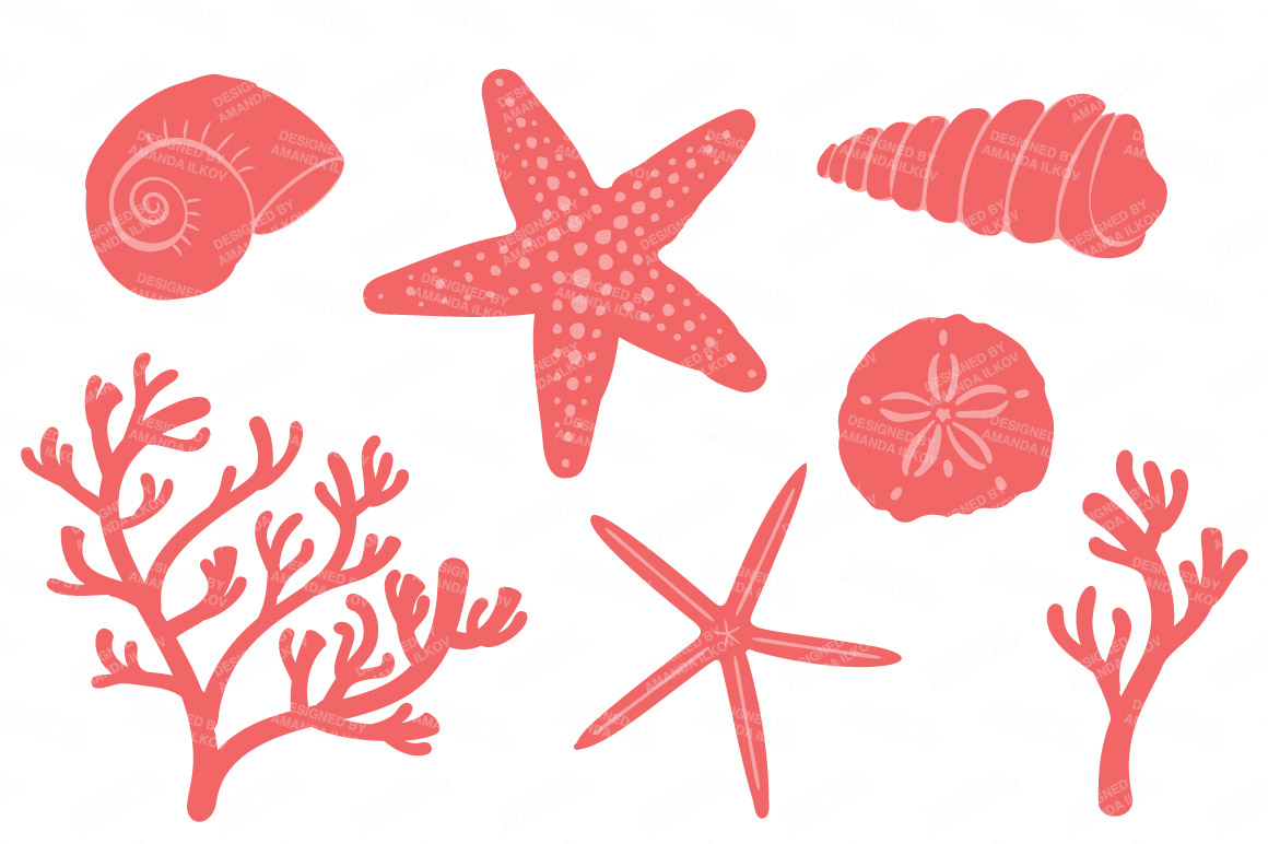 Coral clipart. Seashore shells in by