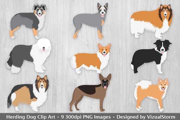 corgi clipart smart dog