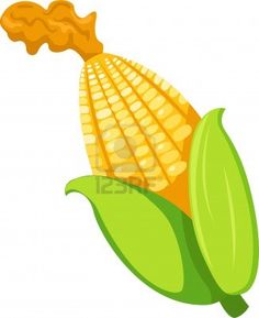 Clip art vector online. Corn clipart