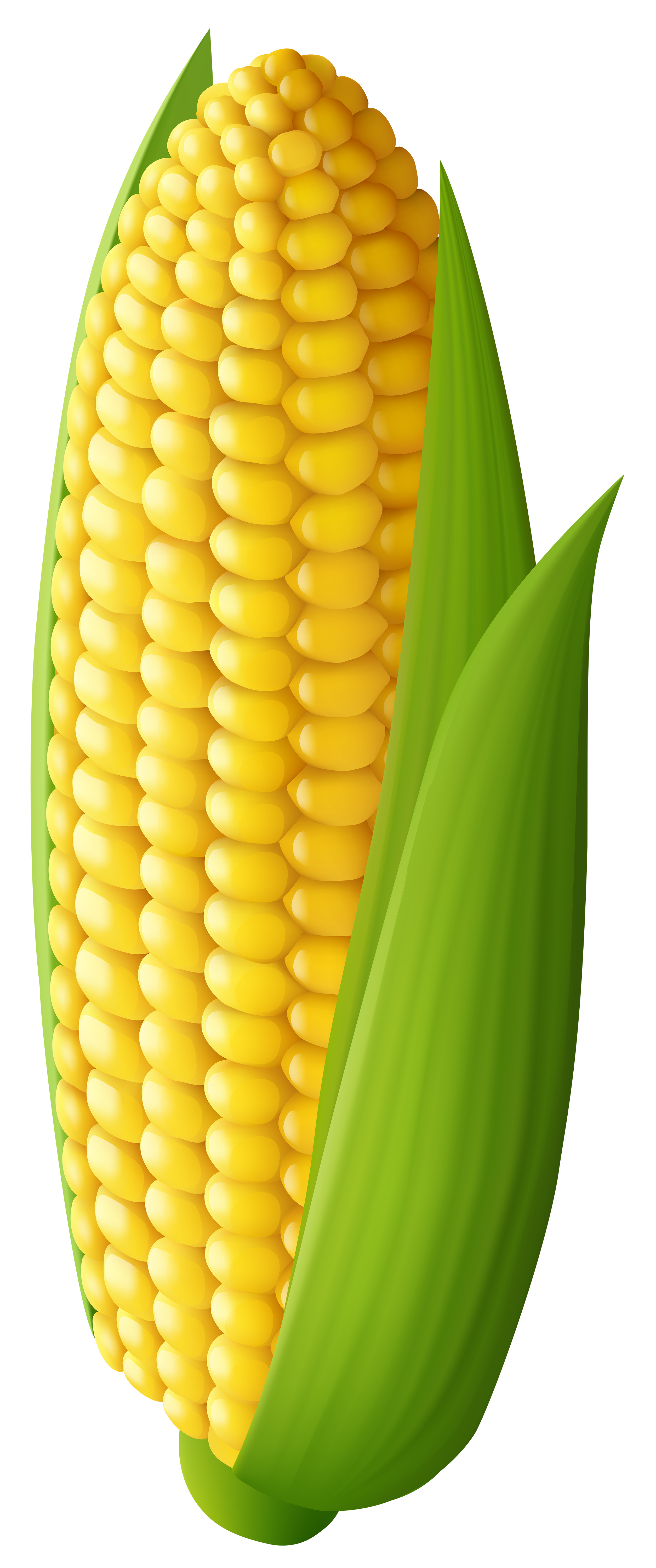 Corn transparent png clip. Clipart banana seller