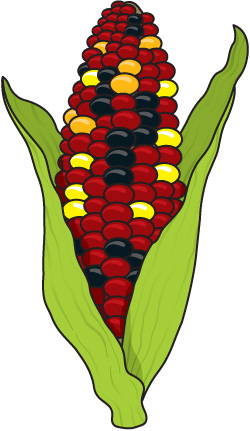 harvest clipart colored corn