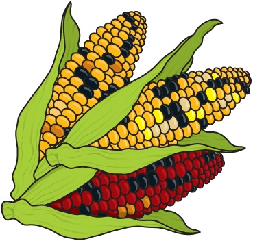 corn clipart autumn