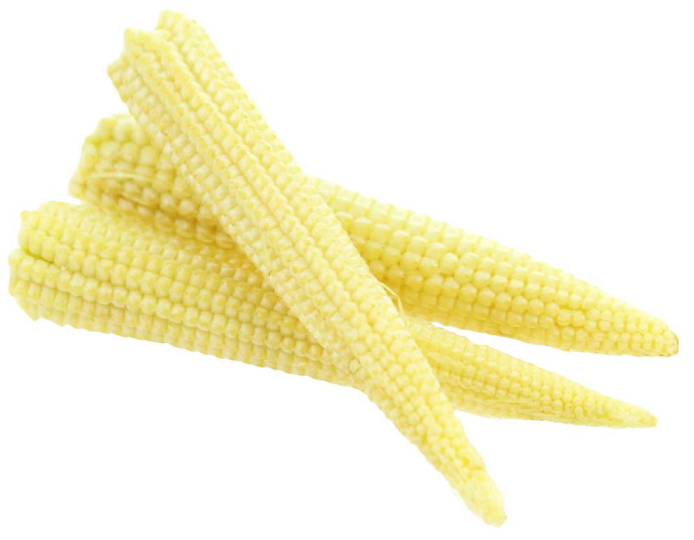 corn clipart baby corn