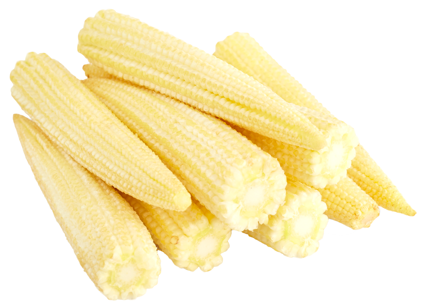 corn clipart baby corn