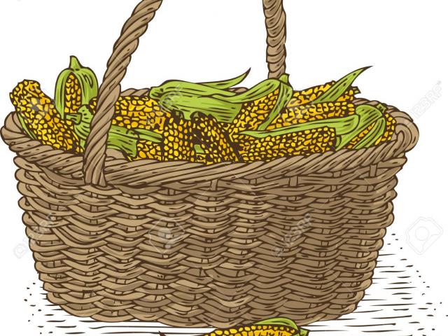 corn clipart basket full