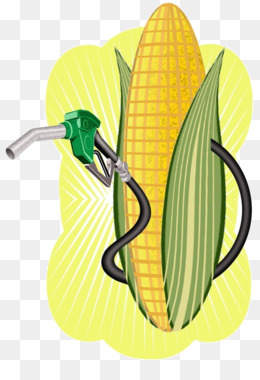 corn clipart biofuel