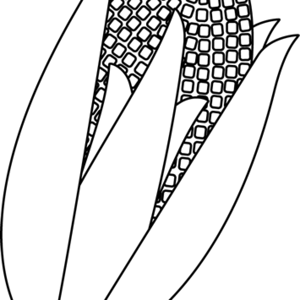 corn clipart black and white