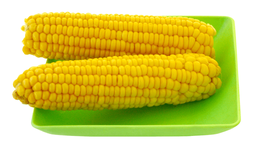 corn clipart bowl