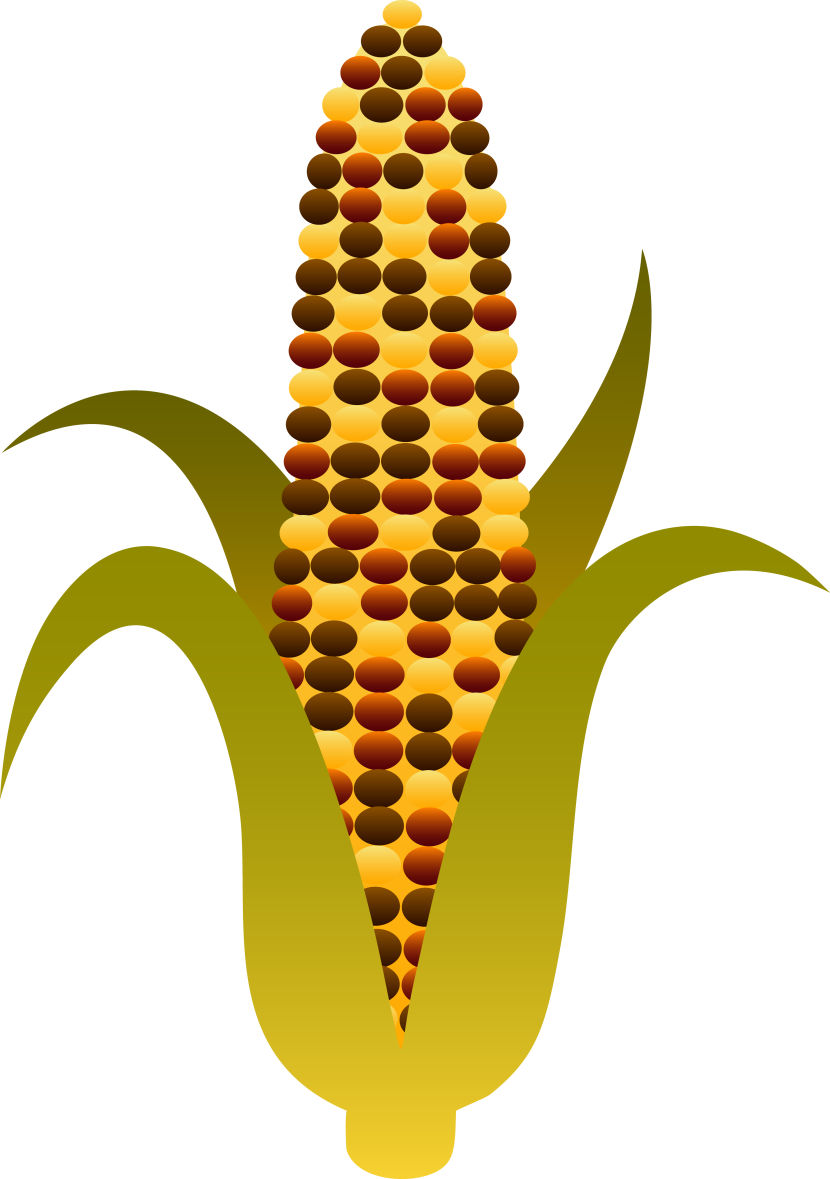 corn clipart carton