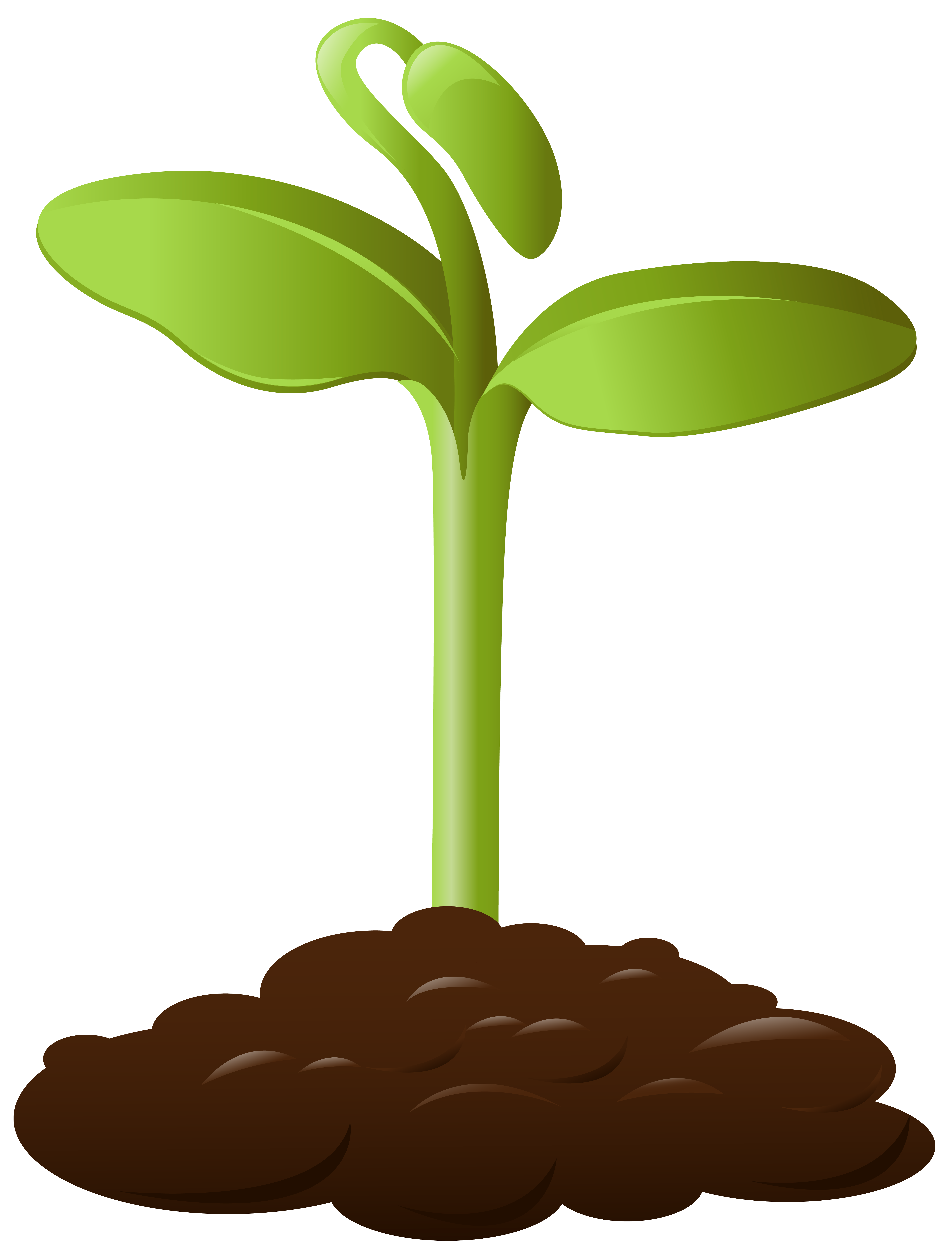 plant clipart small plant