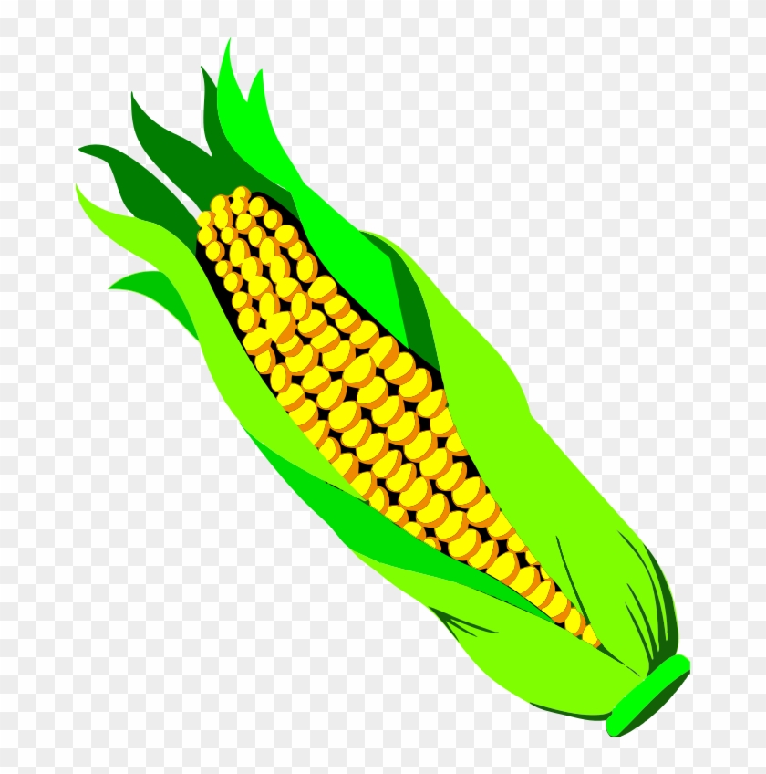 corn clipart clear background