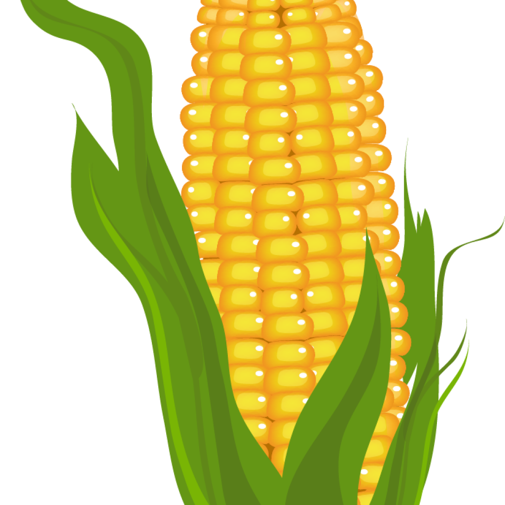 maze clipart corn field