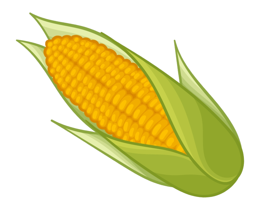 corn clipart clip art