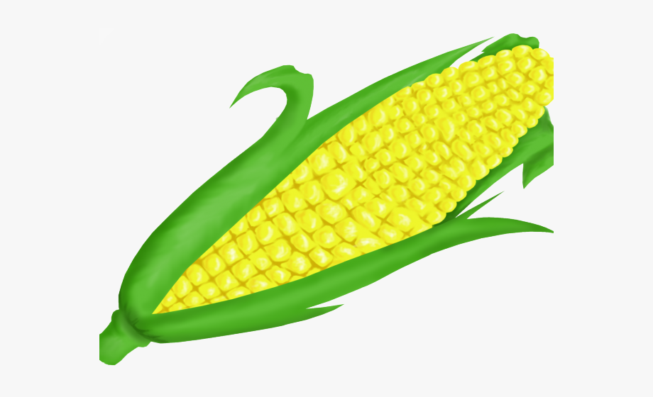crops clipart sweet corn