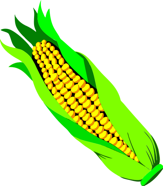 Corn clipart cob, Corn cob Transparent FREE for download on ...