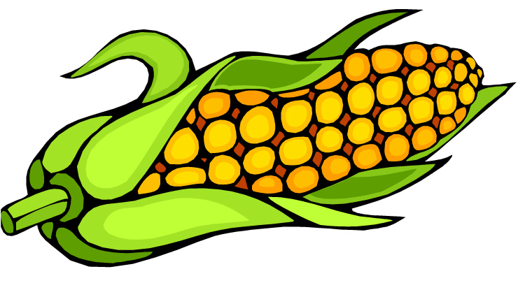 Corn clipart cob, Corn cob Transparent FREE for download on ...