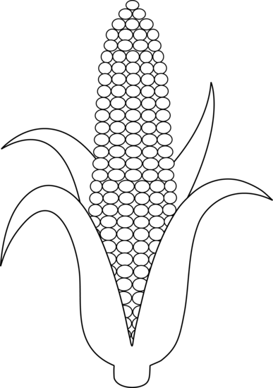 corn clipart color