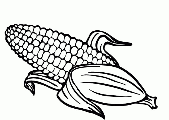 Corn clipart colouring page. Pin on books worth