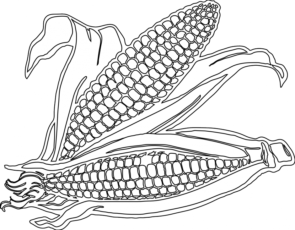 corn clipart colouring page