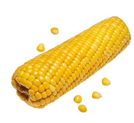 corn clipart corn boil
