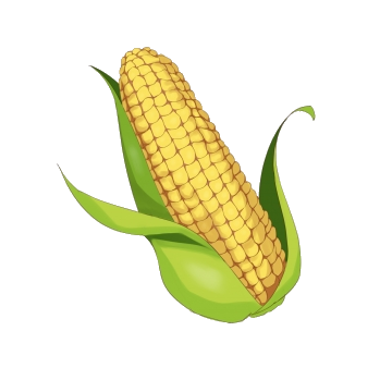Corn clipart corn boil, Corn corn boil Transparent FREE for download on ...