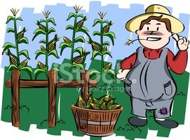 corn clipart corn farmer