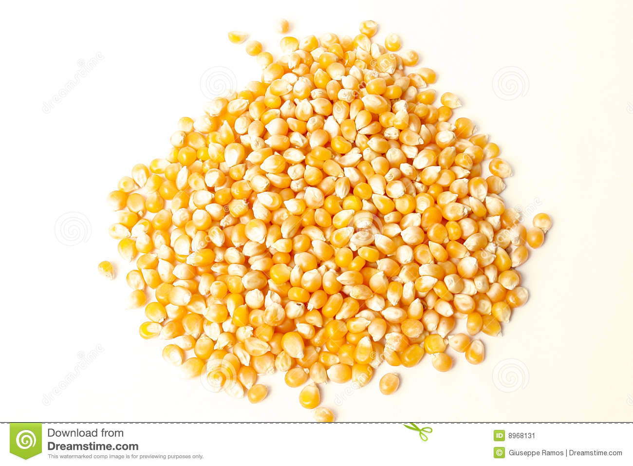 Panda free images . Grain clipart corn grain