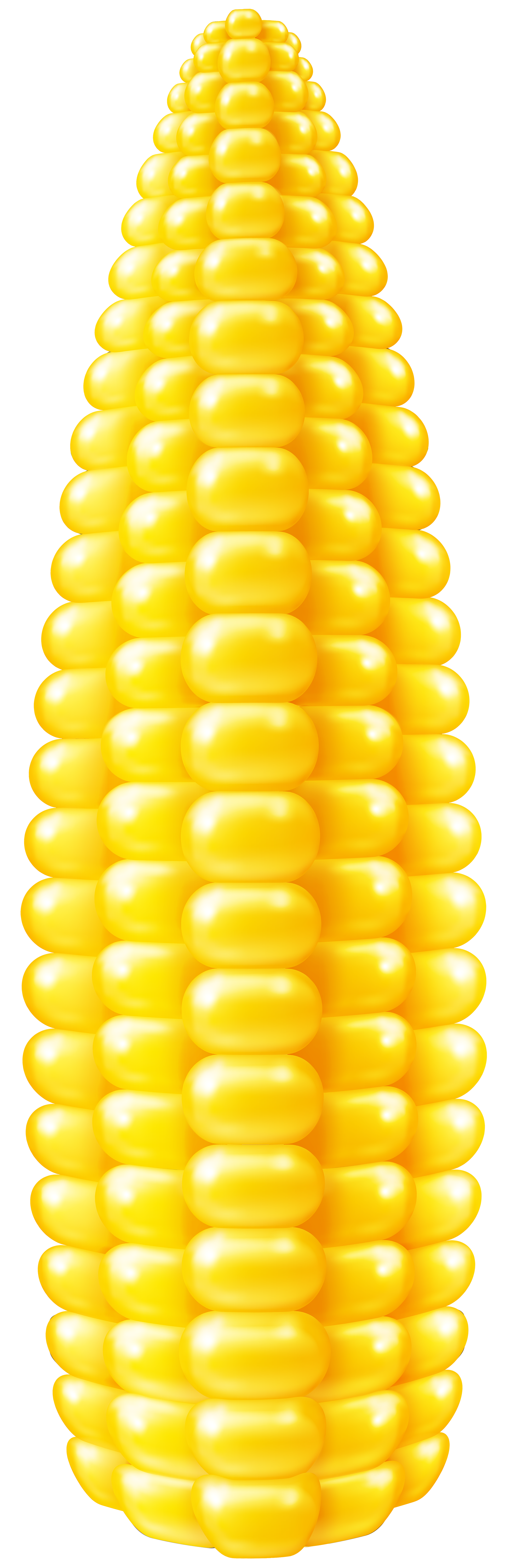 Corn corn kernel