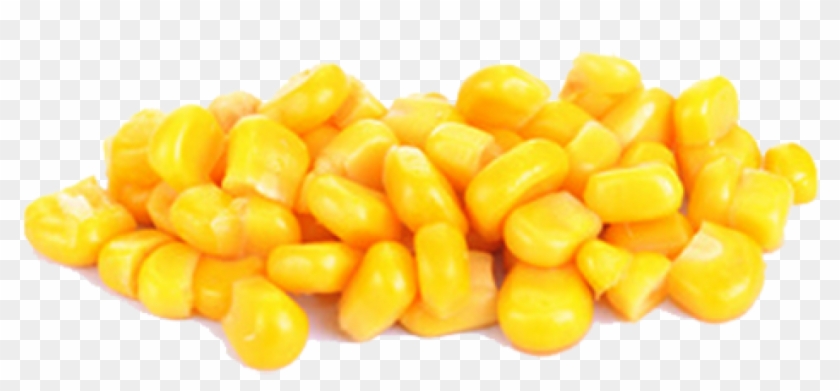 Best grains kernels png. Grain clipart corn grain