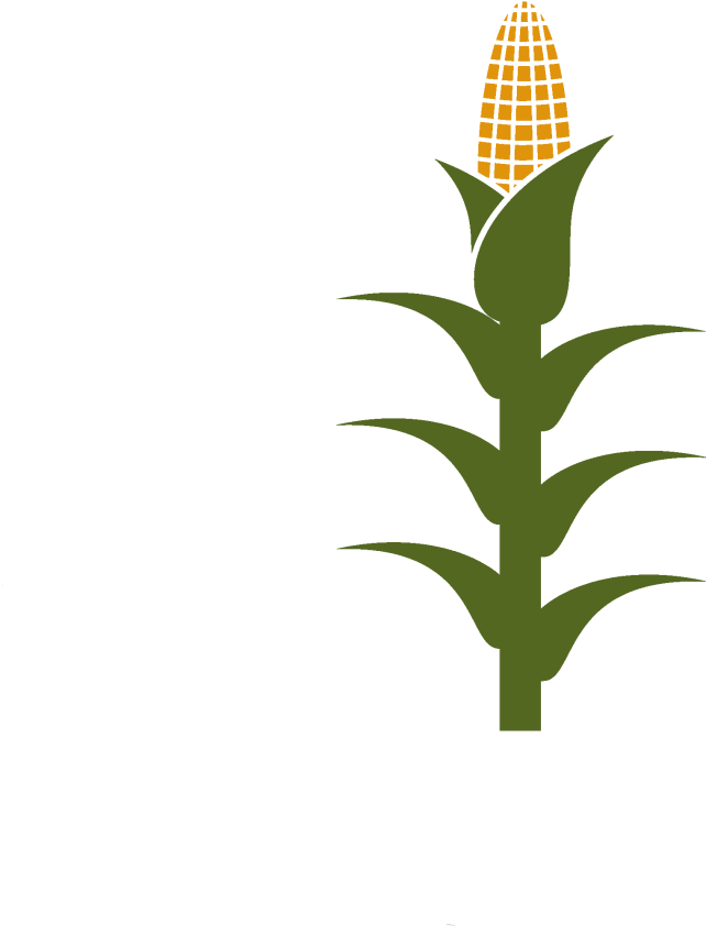 corn clipart corn stalk