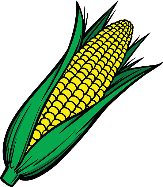 Cob transparent png azpng. Corn clipart corncob