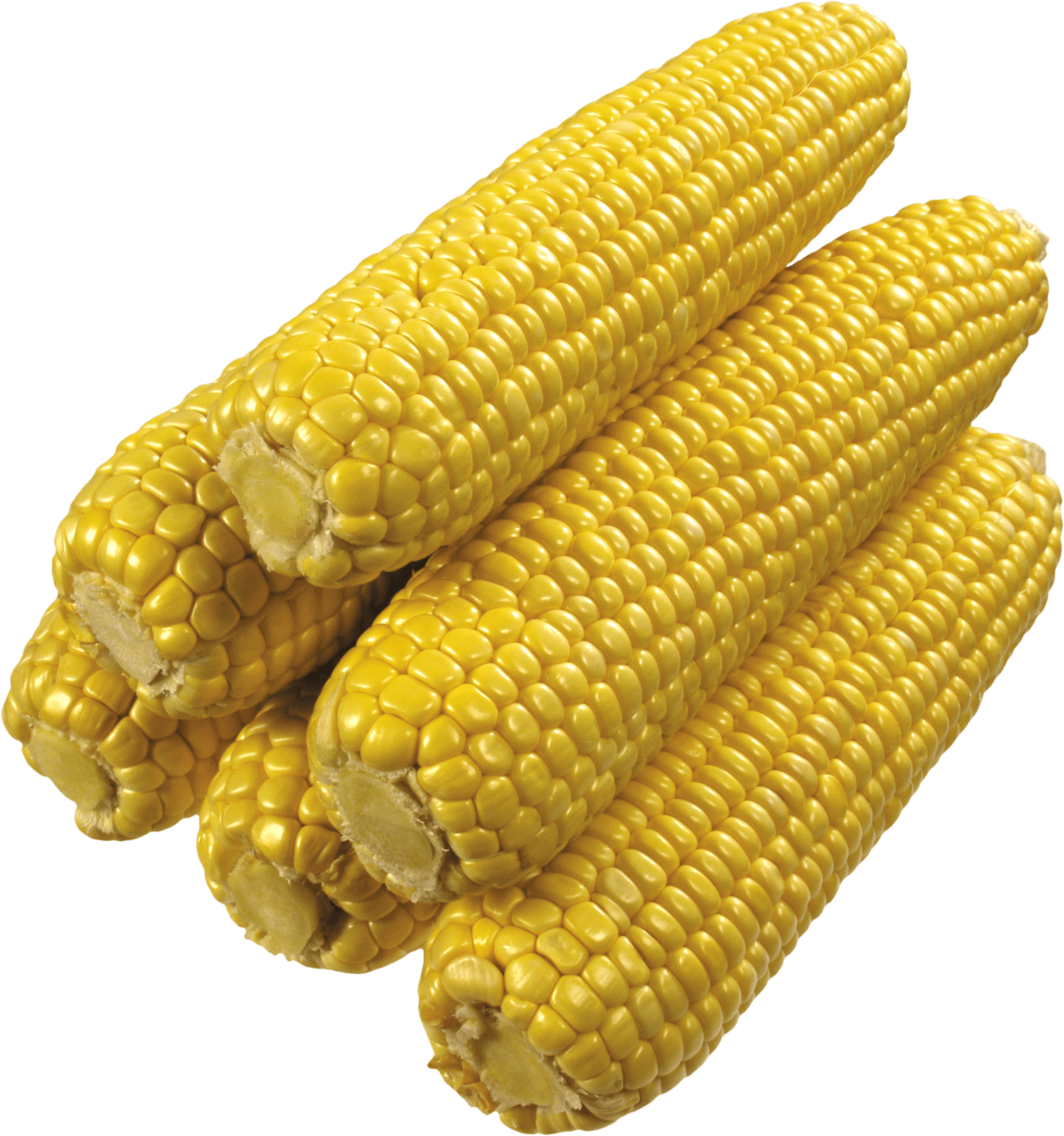 Corn clipart corncob. Stack of corns transparent