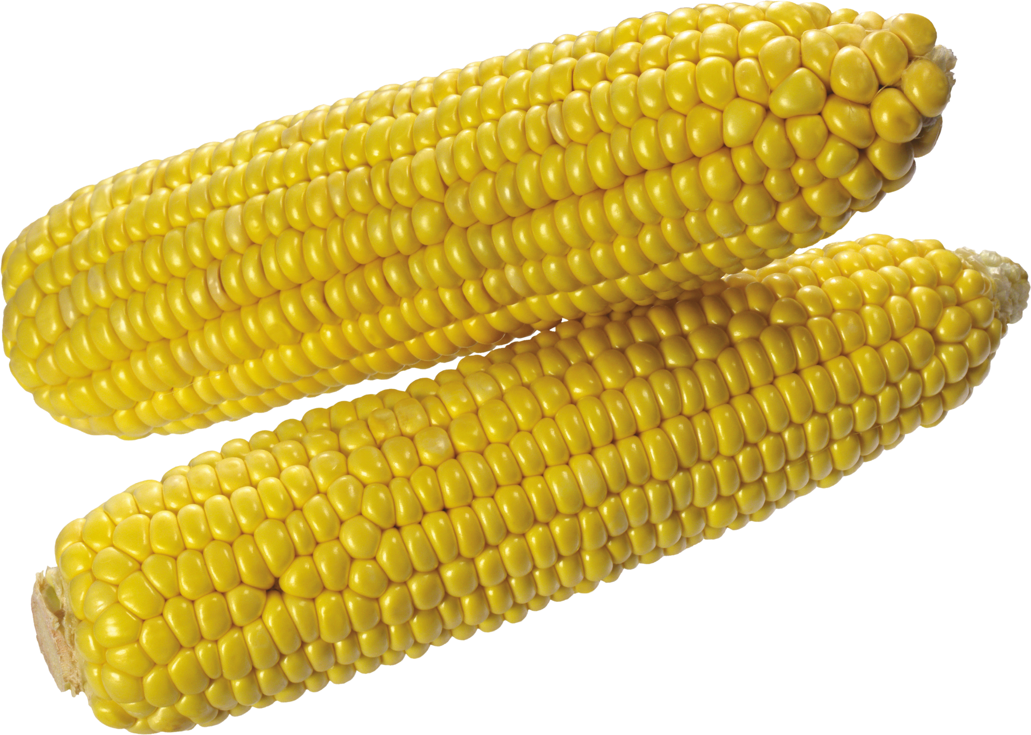 Png images download yellow. Corn clipart corncob