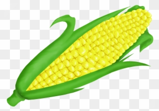 Corn clipart corncob. Free png cob clip