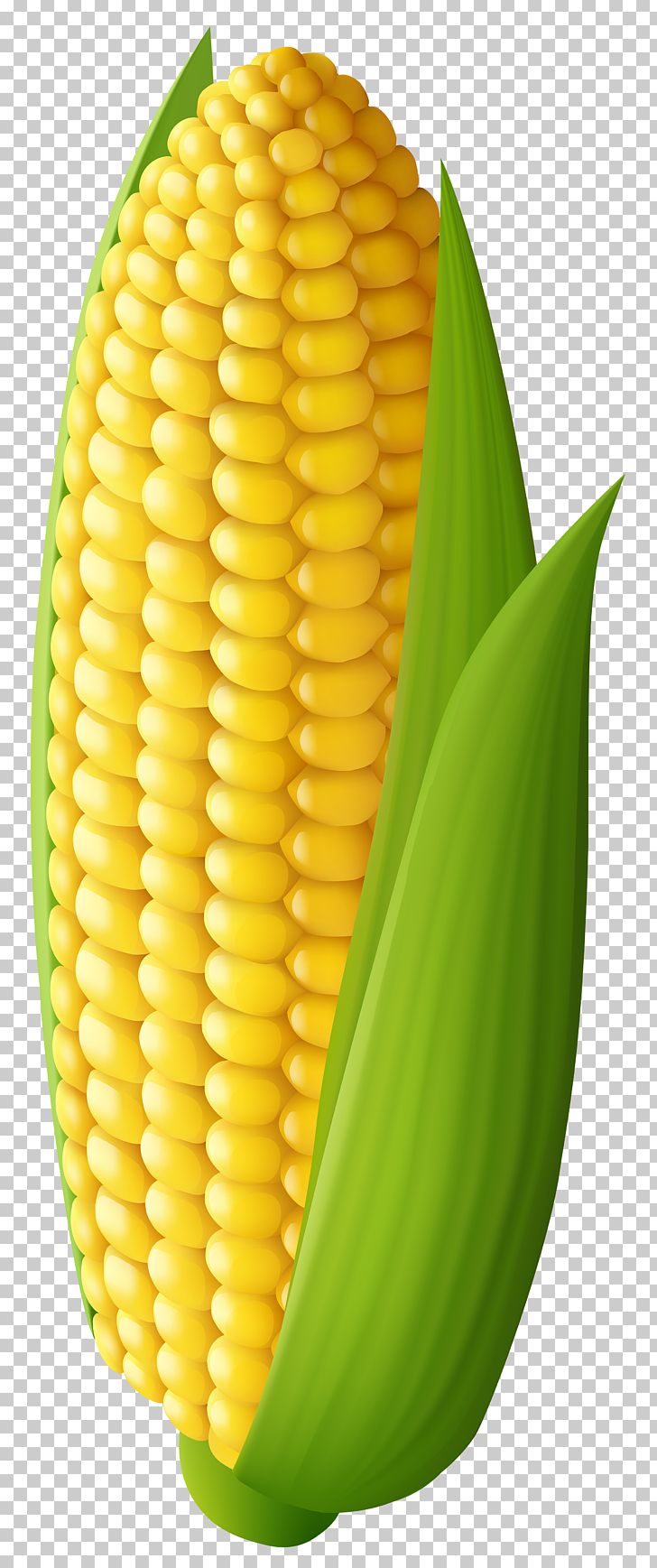 On the cob maize. Corn clipart corncob